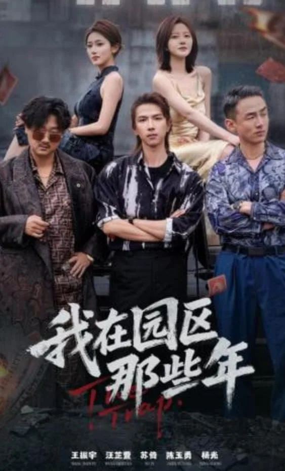 我在园区那些年海报